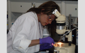 Vanessa Garcia works on her research project sorting and quantifying invertebrates.