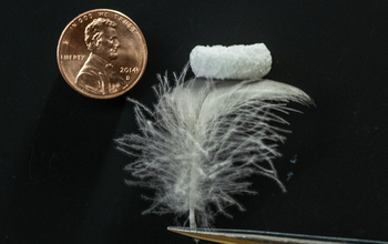 A sponge balances on a feather