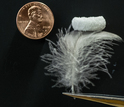 A sponge balances on a feather