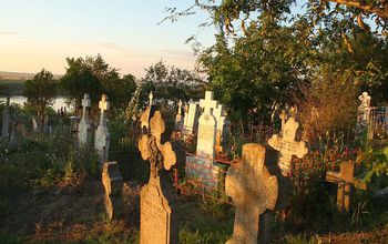 Overgrown cemetery overlooking the Danube River near Cernavoda, Romania. Life likely stirs here.
