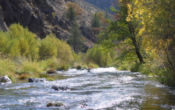 The Shasta River, northern California.