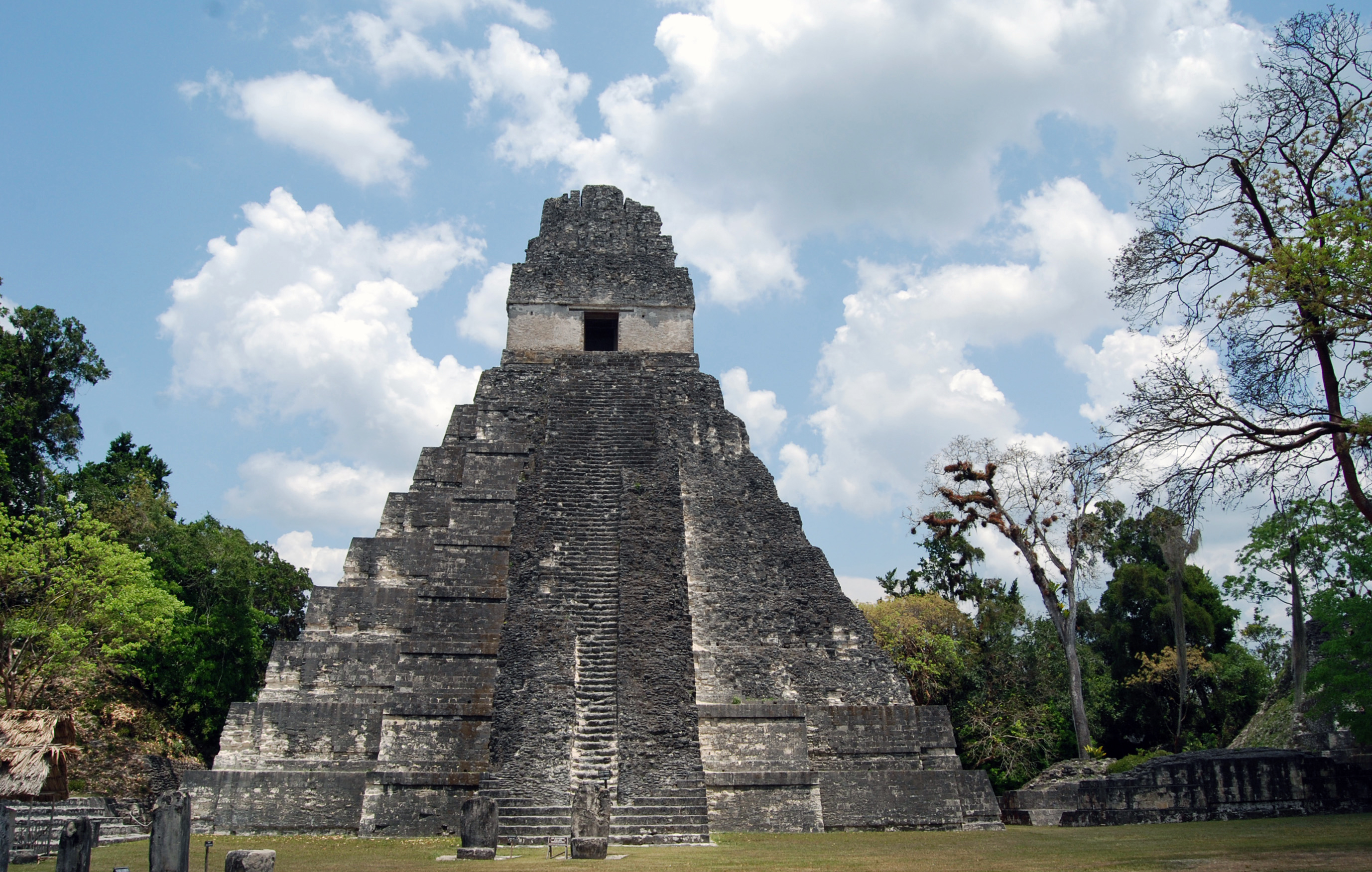 Multimedia Gallery - Ancient Maya Practiced Forest Conservation (Image ...