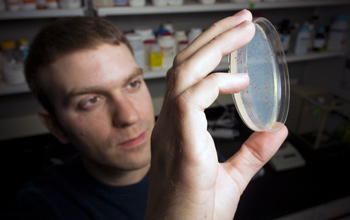 Jeffrey Barrick of MSU views fast-reproducing bacteria cultures