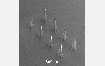 SEM of of an array of rocket-shaped microneedles