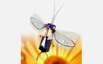 A robotic bee, created as part of the Harvard University RoboBees Project