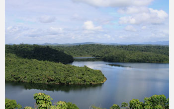 A view of Rio Doce National Park in Brazil