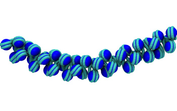 Model of condensed chromatin in which nucleosomes are closely packed on a length of DNA