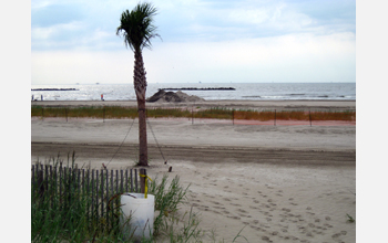 Beach undergoing persistent oil impacts and mechanical cleanup efforts after Deepwater Horizon spill