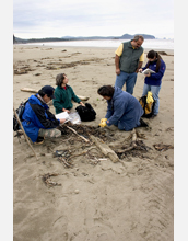 Surveyors for citizen science program examine a northern fulmar