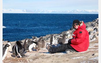Educator and Einstein Fellow Jean Pennycook studies Adelie penguins in Antarctica