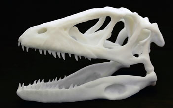 3D printed dinosaur skull