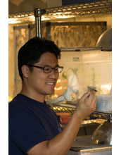 Assistant professor Hojun Song studies density-dependent phenotypic plasticity using grasshoppers