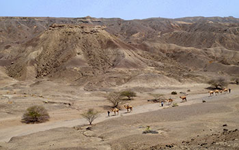 Lee Adoyta region where jaw was found