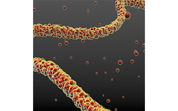 Nanoparticles assembled into filaments in liquid