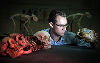 Monash University and hominin skull casts