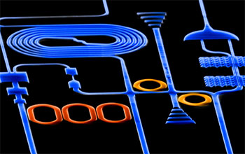 Photons traveling in a nanoscale photonic circuit