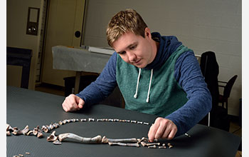 Geosciences master’s student Christopher Griffin reconstructs a partial specimen of an <em>Asilisaurus</em> fossil.