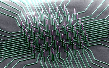 Colorized SEM image of a nanowire array