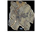 Slab of rock containing the fossil of <em>Caihong juji</em>