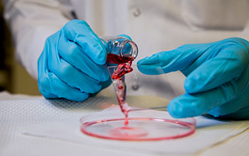 A hexadecane oil is poured onto a glass slide with a superomniphobic coating