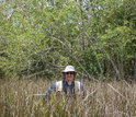 Scientist Victor Rivera-Monroy at the transition zone between mangroves and freshwater plants.