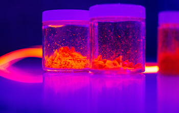 Quantum dots glow under ultraviolet light