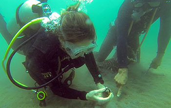 NSF-funded researchers scan the ocean floor for clams alongside a fisher in Loreto Bay, Mexico.