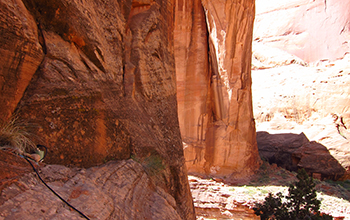 Rainbow Bridge