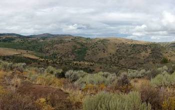 Scientists studied ecosystem connectivity at Idaho's Reynolds Creek CZO.