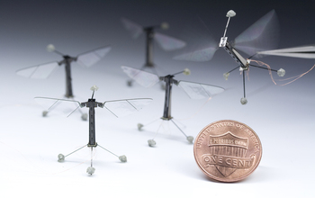 Robotic bees, or Robobees compared to scale with a penny