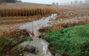 rain in a harvested cornfield