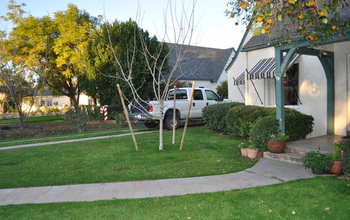 U.S. urban landscape from Phoenix showing a house with a green lawn, treese and a parked car.