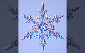 A stellar dendrite snow crystal