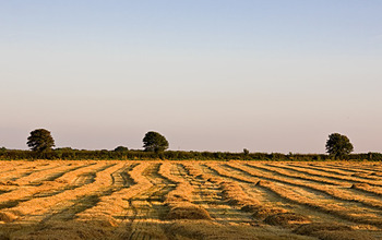 Understanding how air flows at night and over variable topography will help farmers, forecasters.