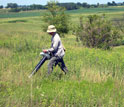 entomologist Chris Dietrich vacuming for insects in tallgrass prairie.