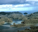 Palau's coral reefs surprisingly resistant to ocean acidification