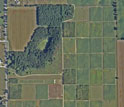 Satellite view of the cropping systems experiment.