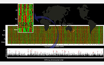 Plot of genetic markers and world map graphic.