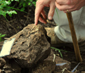 Photo showing excavated blocks rich in fossil remains from Malapa.