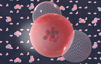 An artist's conception of the muon traveling through IceCube, with a sensor in the foreground and NSF logo.