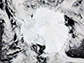 A satellite image of Antarctic sea ice on Jan. 6, 2022.
