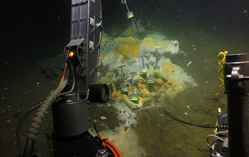 Researchers used the submersible ALVIN to collect samples from the seafloor.