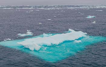 Arctic Ocean sea ice