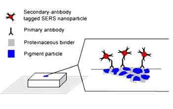 Schematic diagram of Indirect ImmunoSERS Assay.