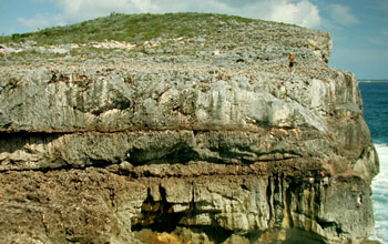 Photo of beach deposits in the Bahamas.