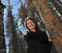 Scientists with soil and microbial samples beneath a beetle-killed tree.
