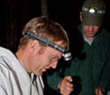 Photo of scientist Marm Kilpatrick holding a little brown bat with another researcher in background.