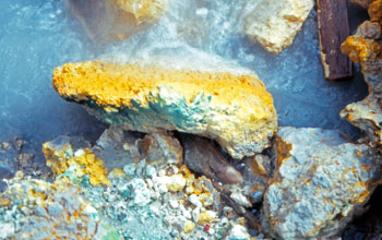Green and yellow rock in an Icelandic hot spring with sulfur and alga Galdieria sulphuraria.