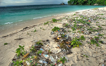 A beach littered with plastic bottles.