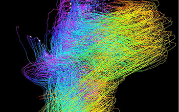 simulated flow of oil through water based on computational fluid dynamics simulations.